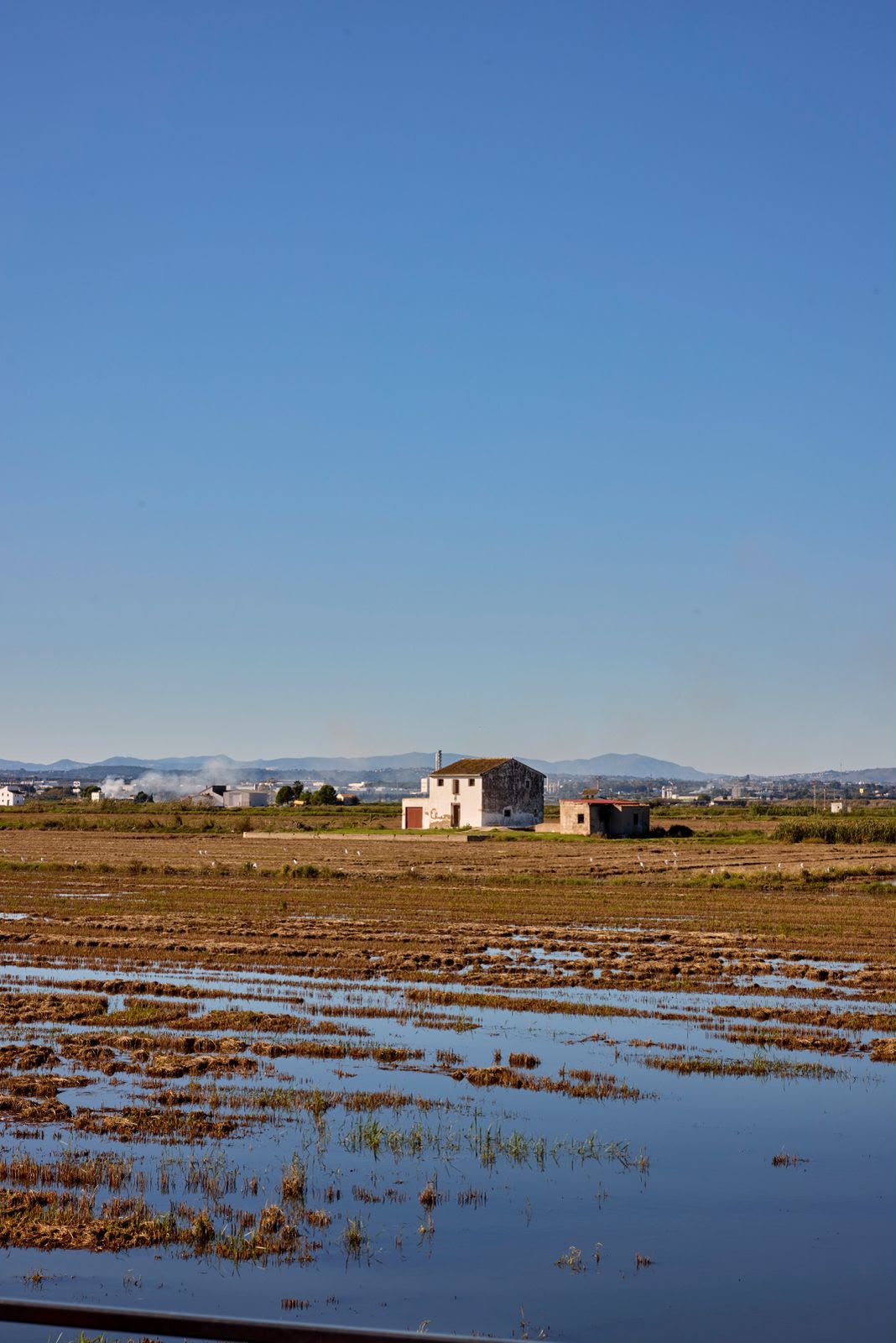 Arroz Clandestino 2026 sobre el fuego
