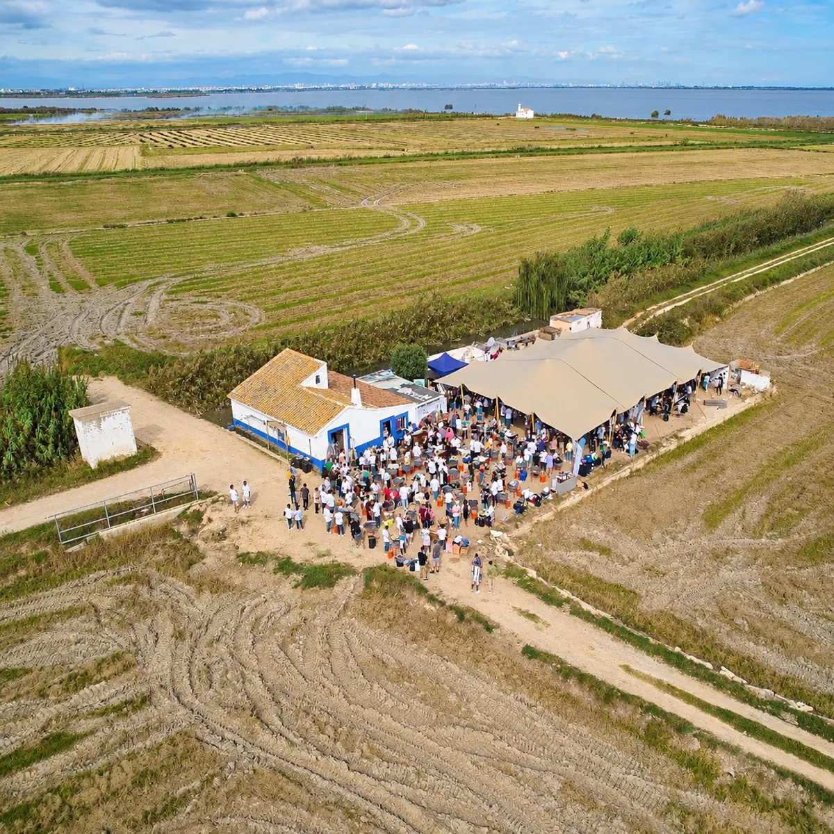 CLANDESTINOS en los arrozales valencianos